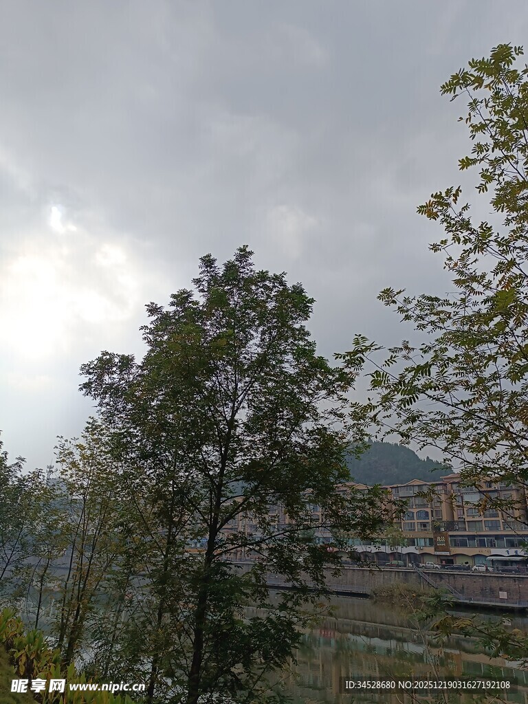 户外绿树与远景风景