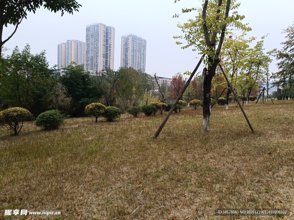 城市公园草地与远处高楼