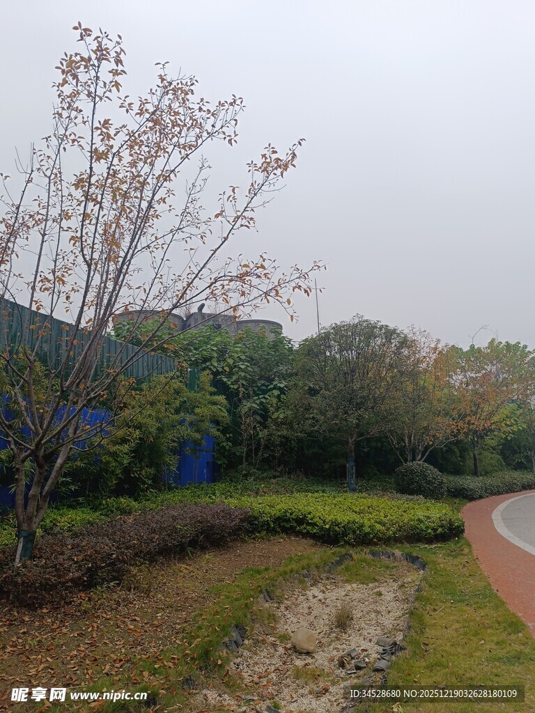 户外园林景观小路景色