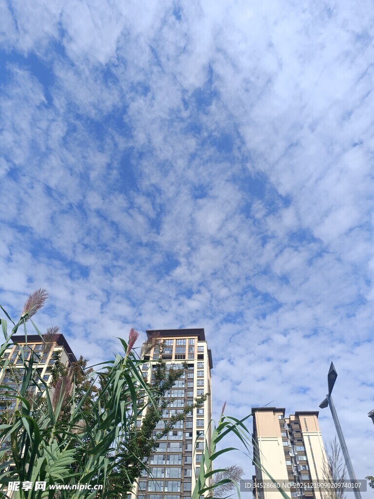 蓝天白云下的城市建筑