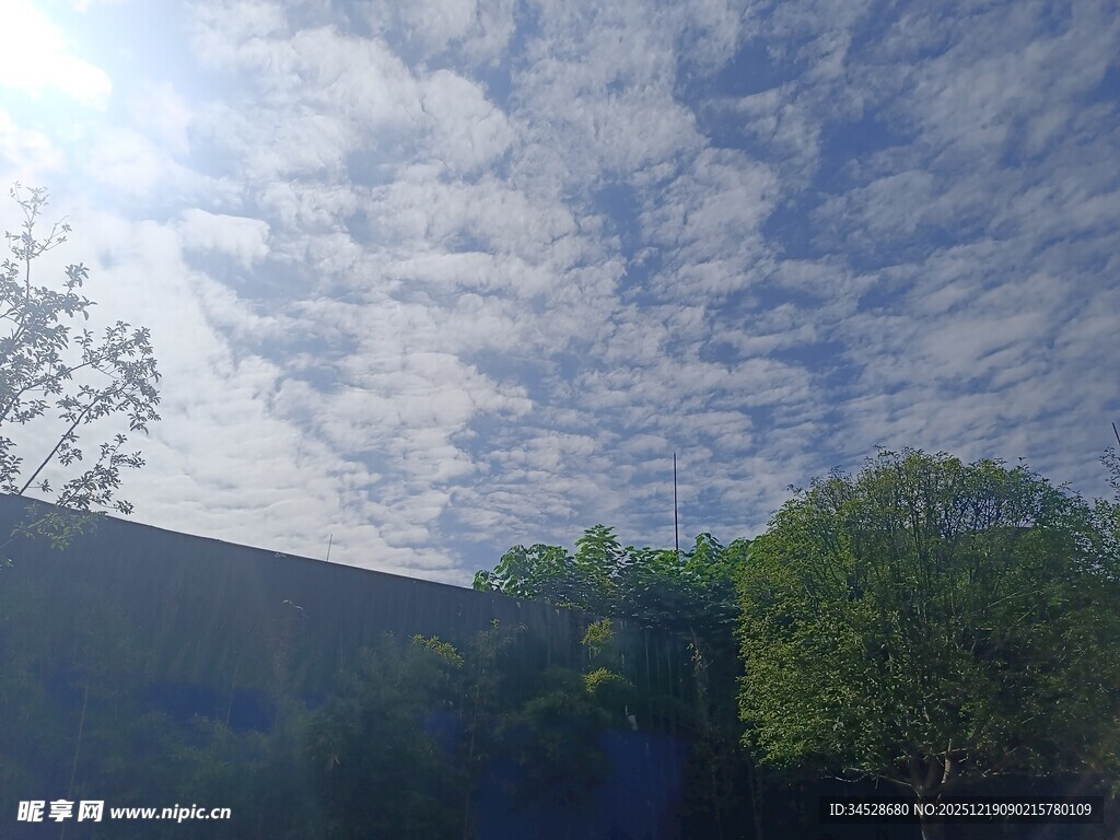 蓝天绿树间的晴朗景致