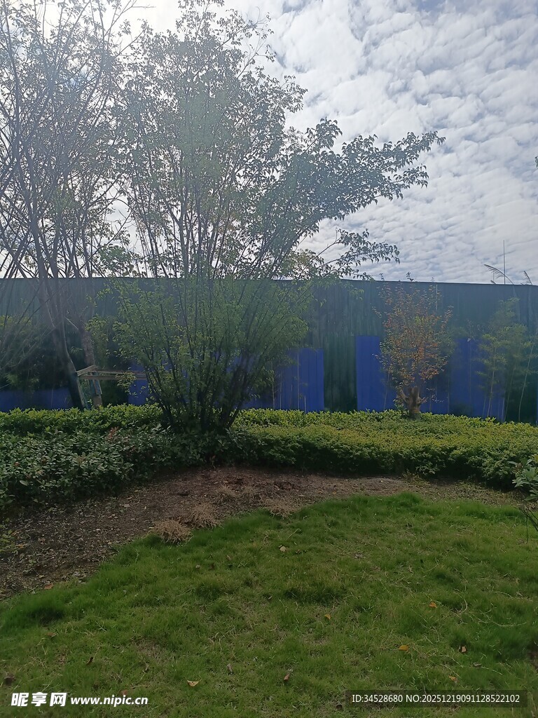 户外绿植环绕的宁静场景