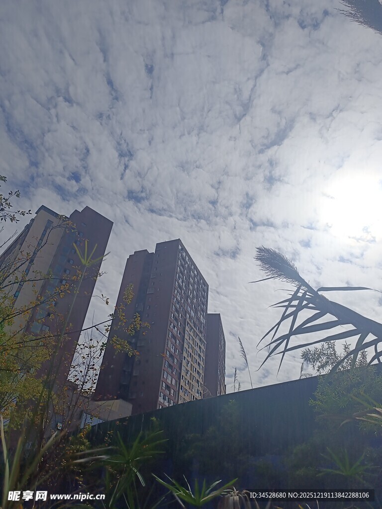 城市高楼与天空绿植景观