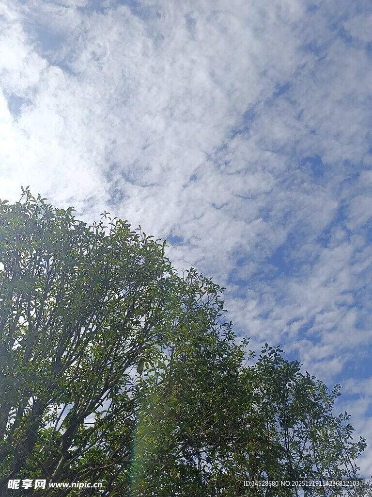 蓝天绿树间的美好景致