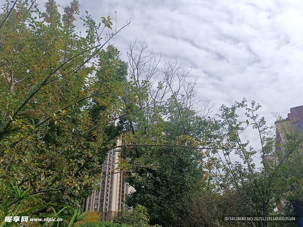 户外绿植环绕的景致