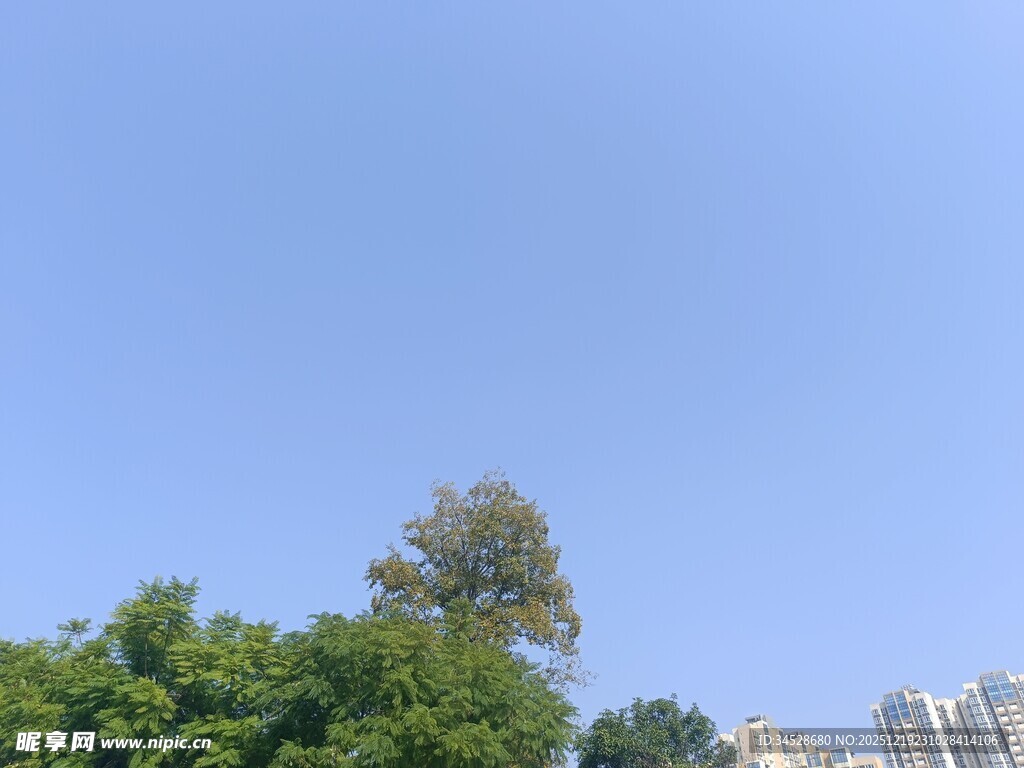 蓝天绿树城市景象
