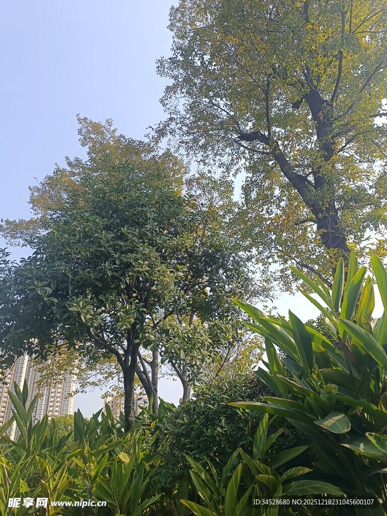 户外绿意盎然的自然景致