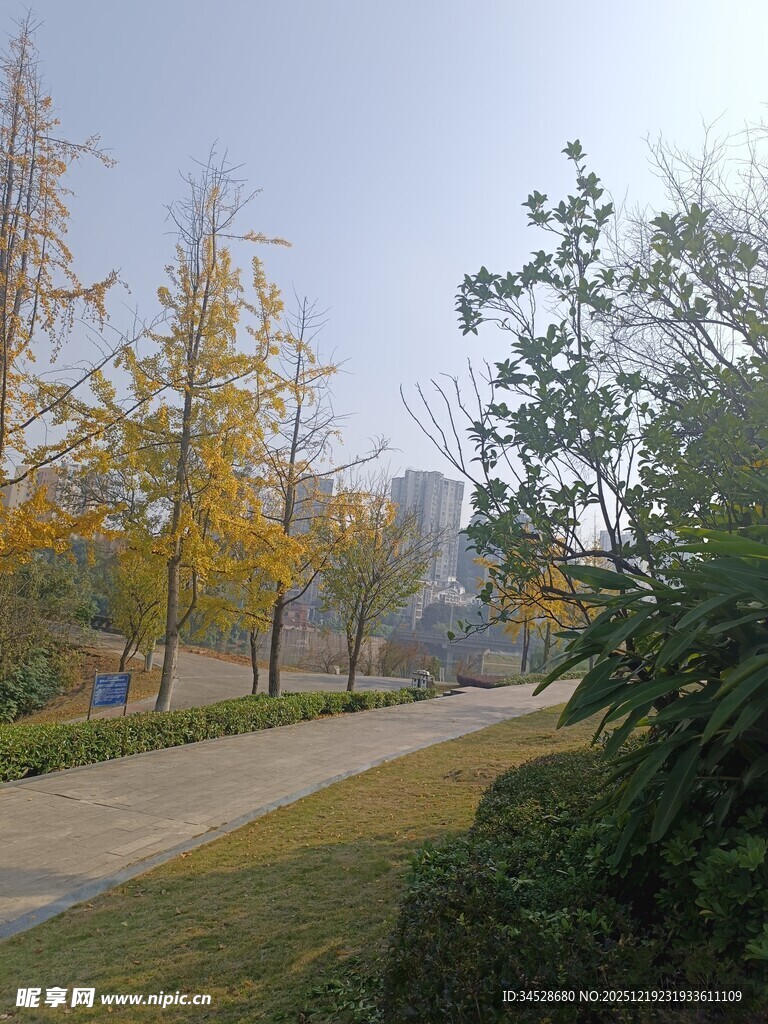 秋日公园小径美景