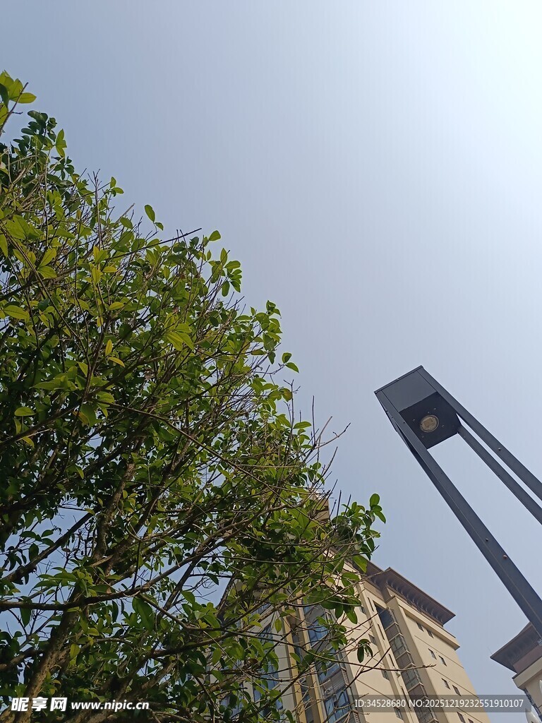 绿树掩映下的现代建筑