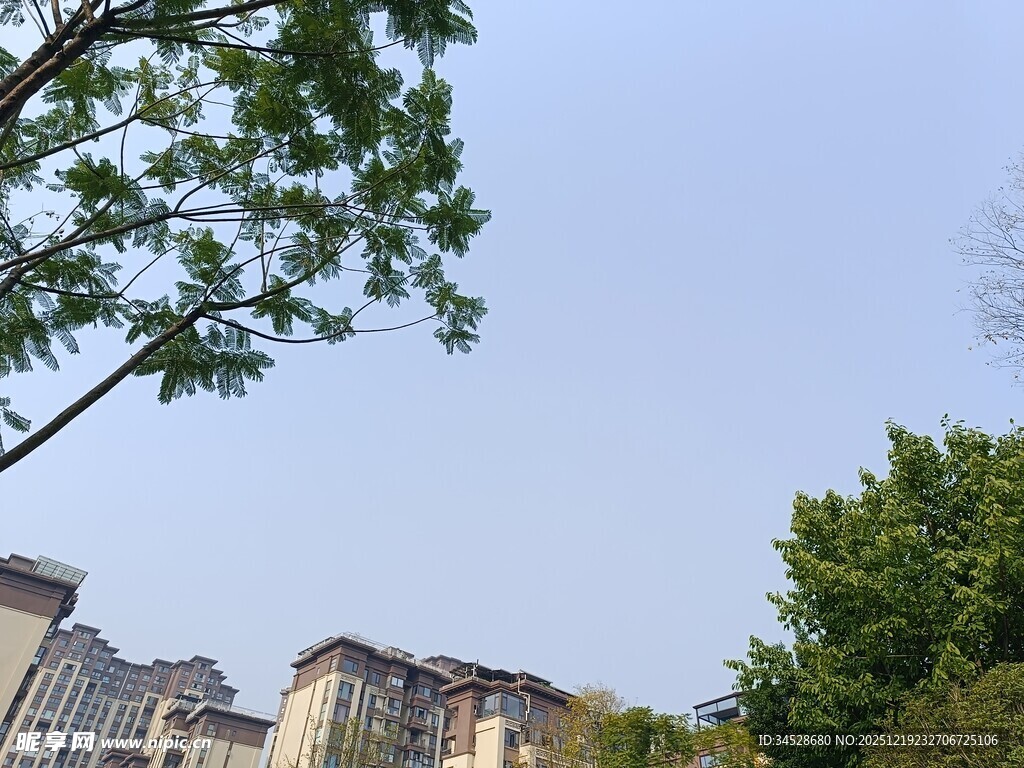 绿树掩映下的城市建筑