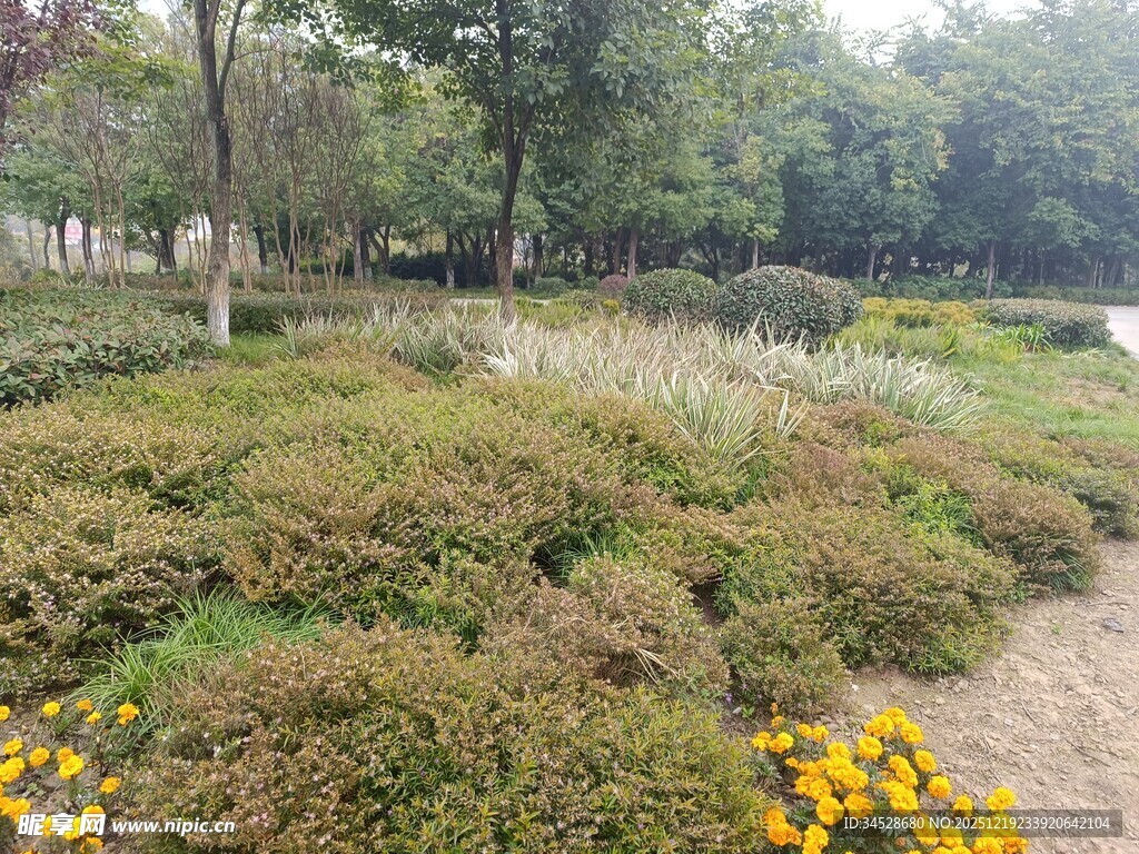 公园中的多彩植物景观