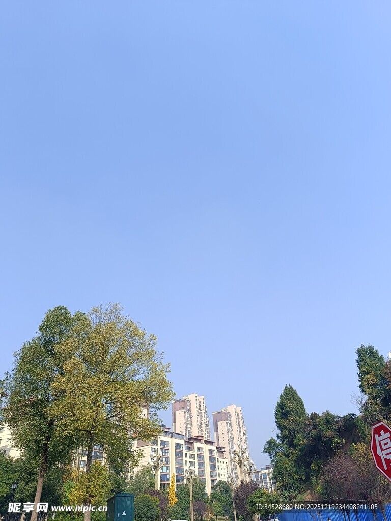 城市绿树蓝天景观