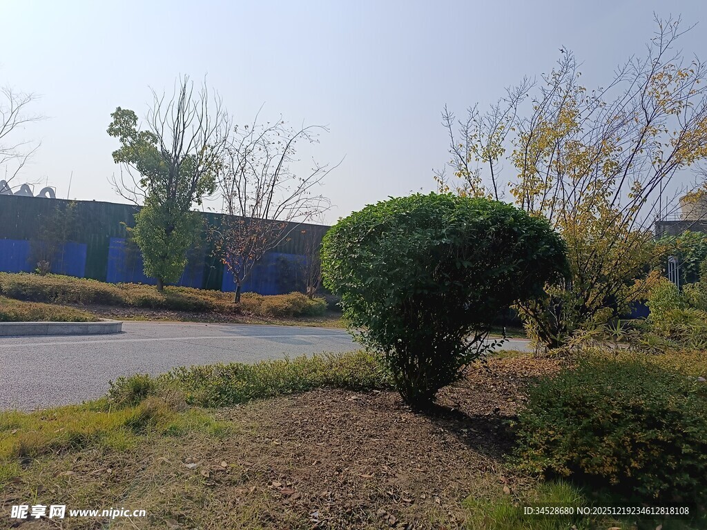户外绿植景观一角