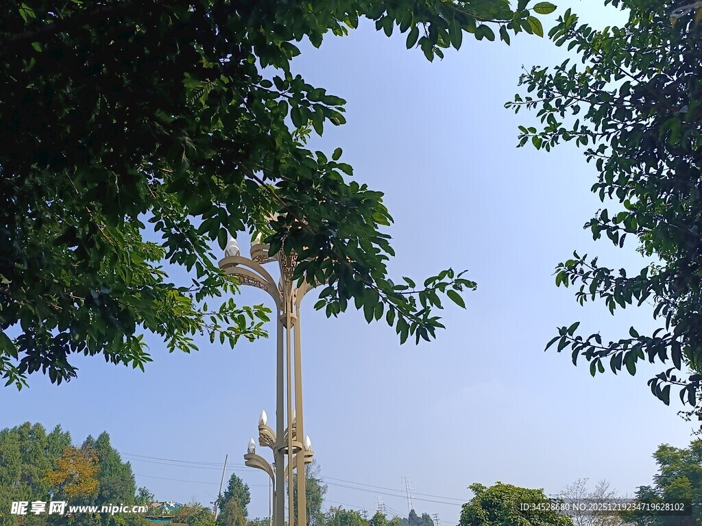 绿树掩映下的高耸结构