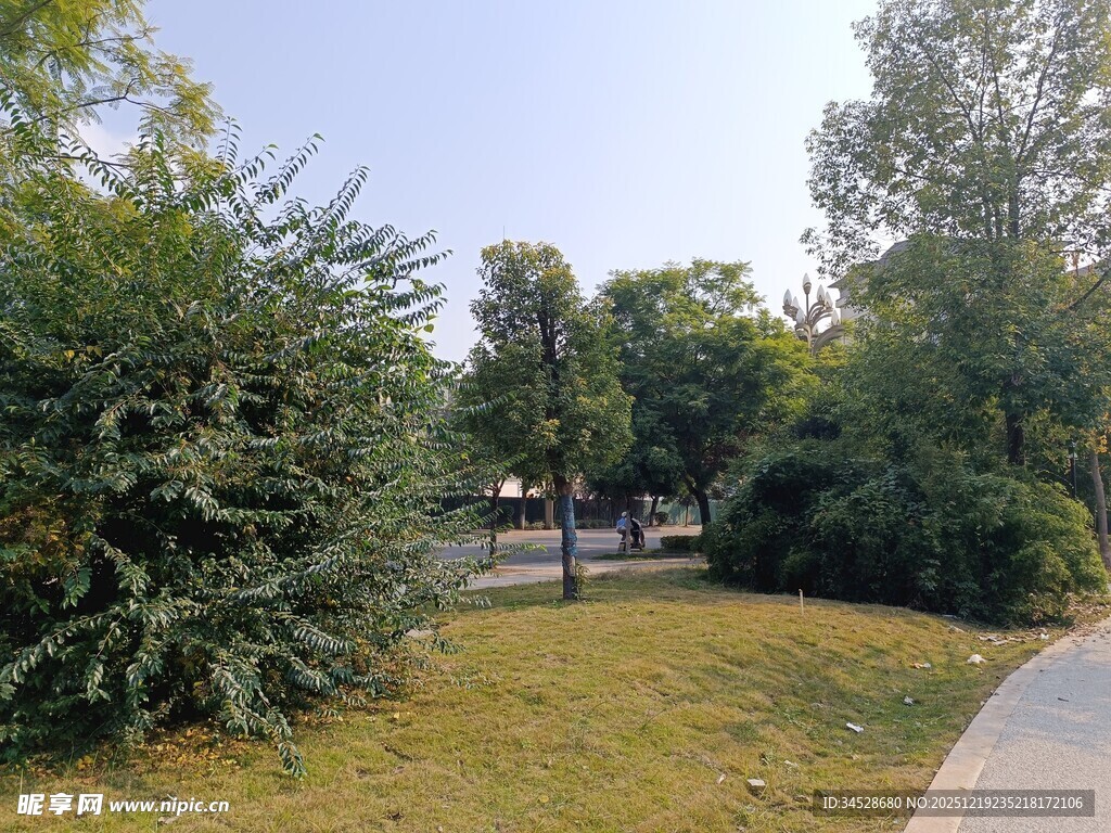 公园绿意盎然的小径场景