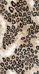 豹纹图案纹理背景图