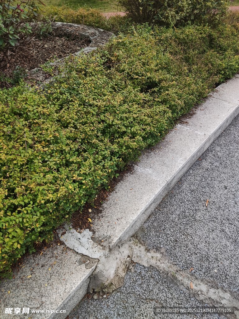 路边绿植旁的破损水泥块
