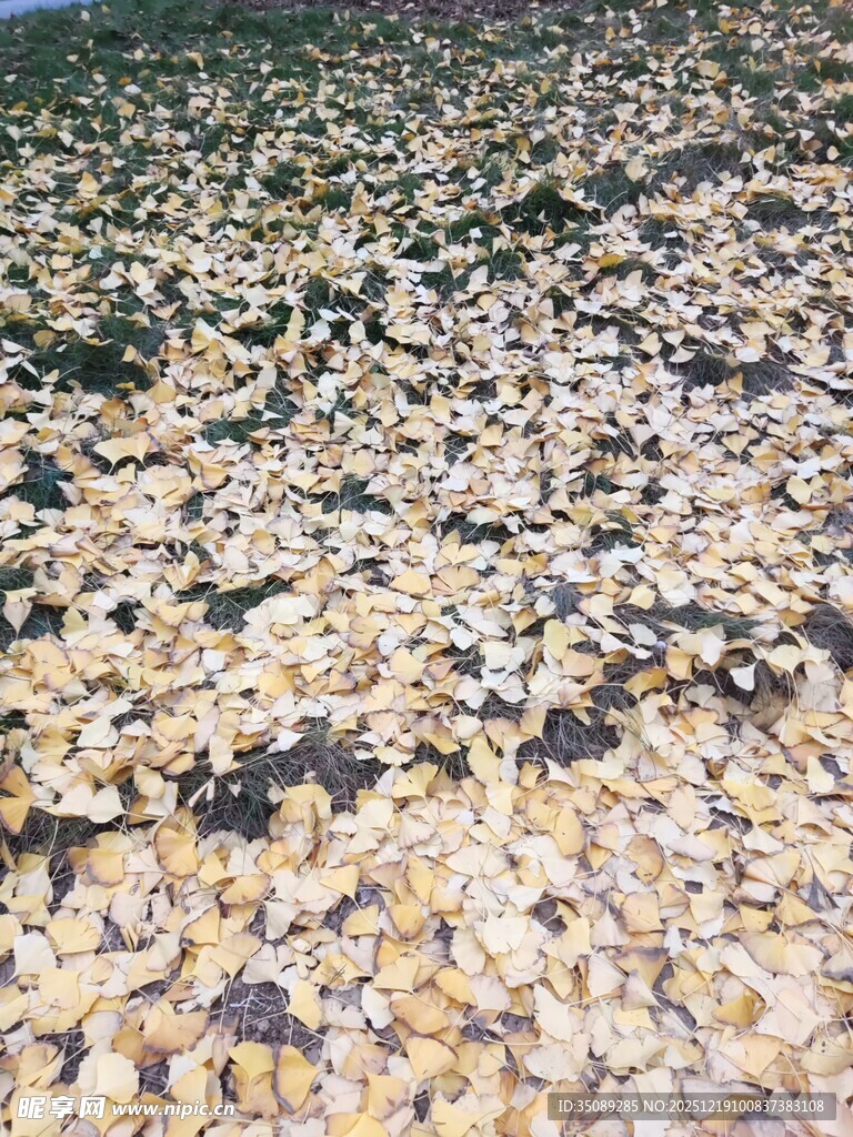 铺满地面的多彩鹅卵石