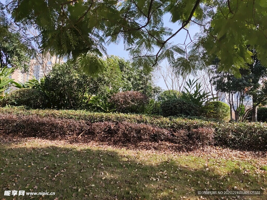 户外绿意盎然的自然景观