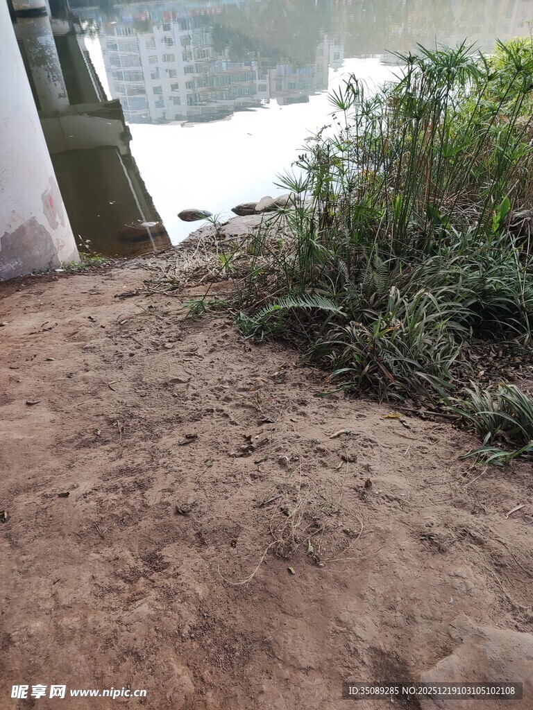 室内角落的沙土与绿植