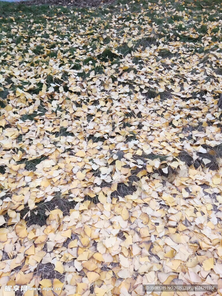 铺满鹅卵石的地面景观