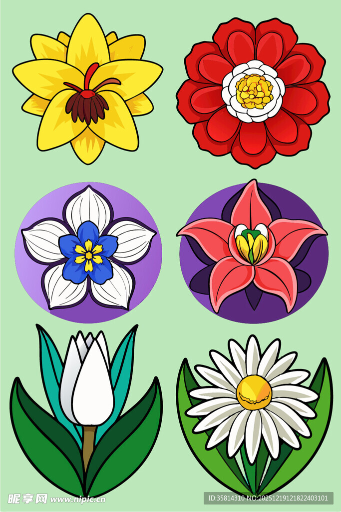 多彩花卉图案集合