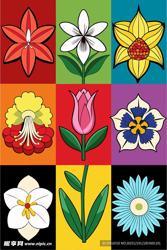 多彩花卉图案集合