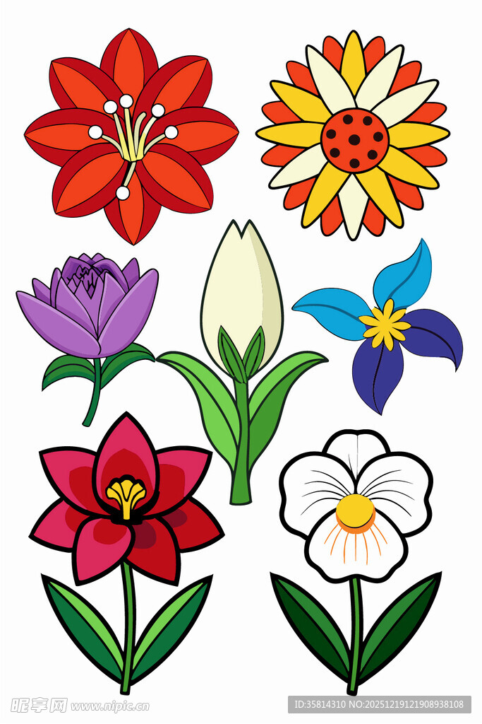 多彩手绘花卉图案集合