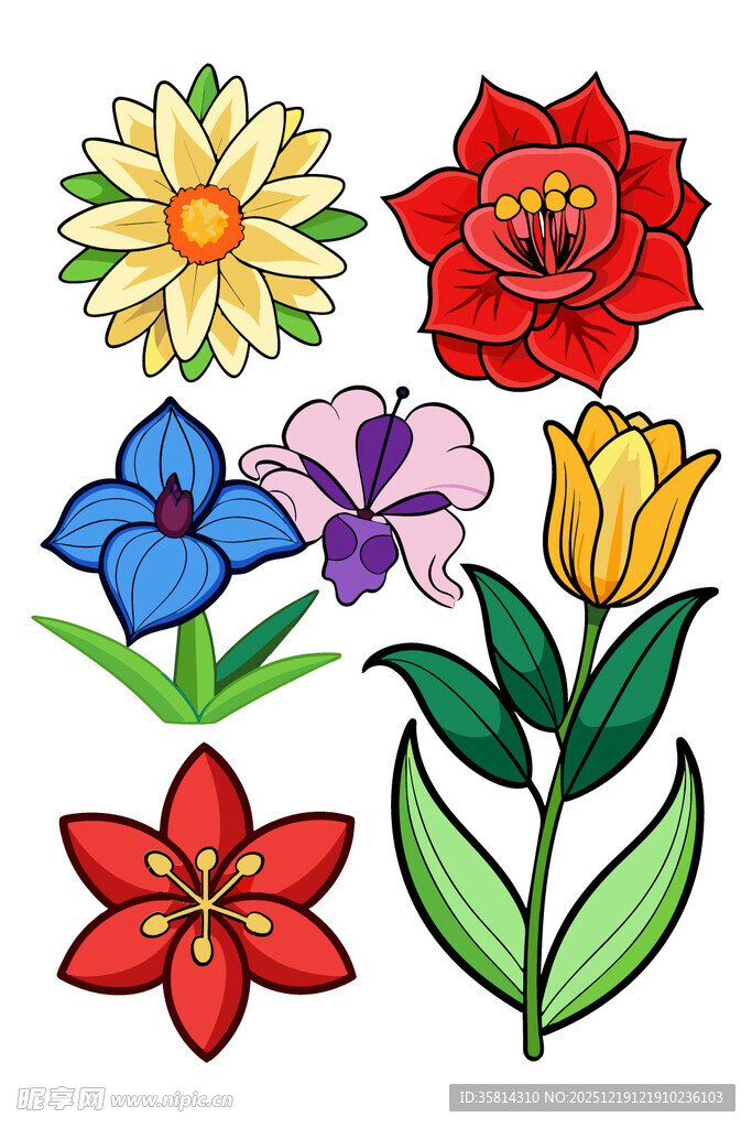 多彩手绘花卉图案集合