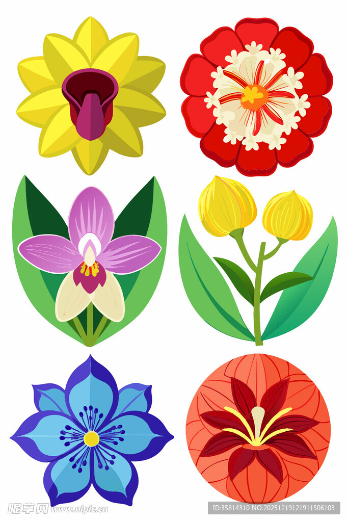 多彩花卉图案集合