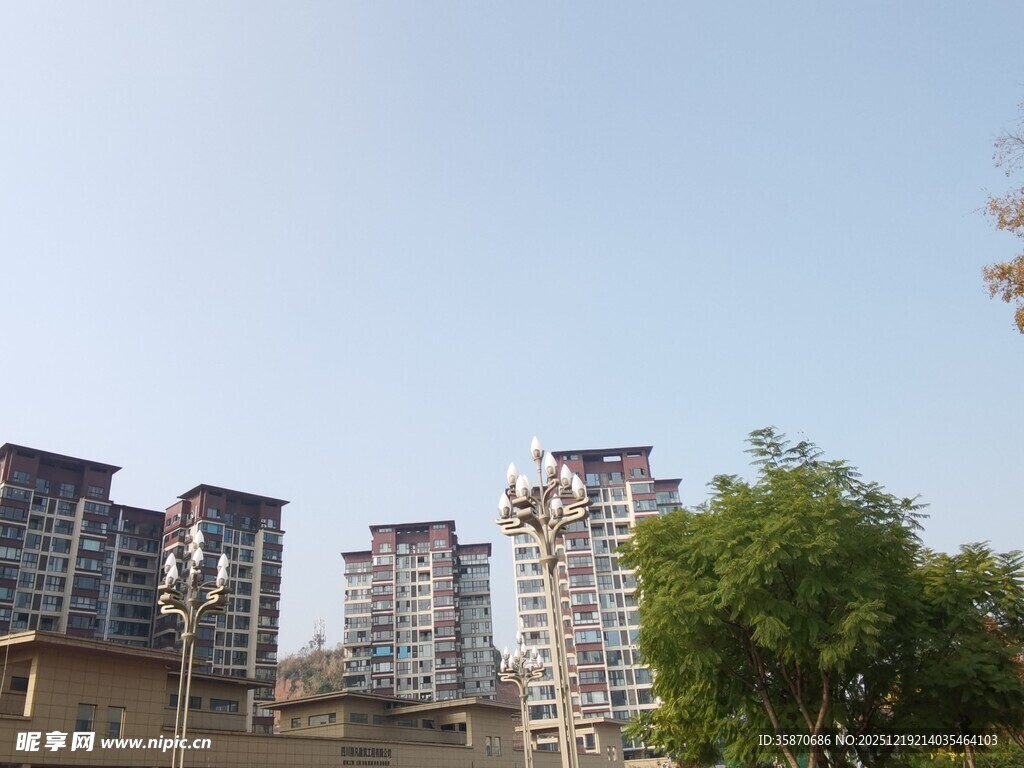 城市中的高层住宅景观