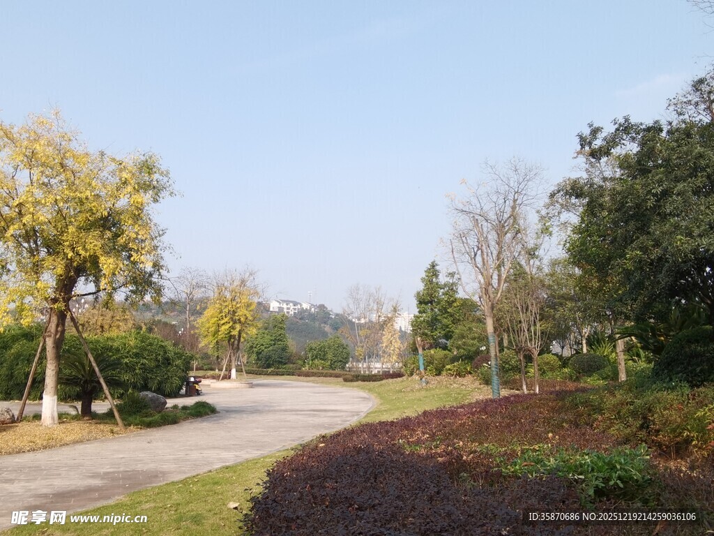 秋日公园蜿蜒小路风景