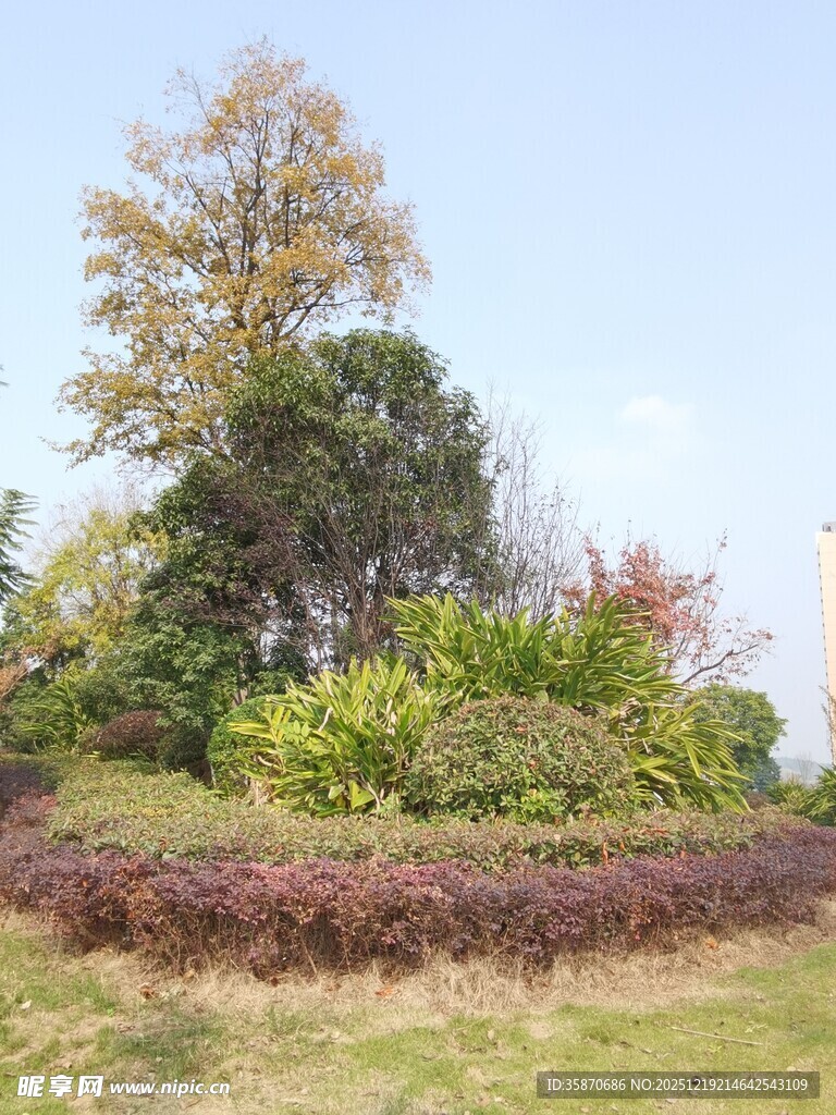 秋日园林绿植景观