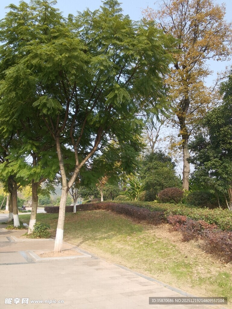 公园绿树成荫的休闲小径