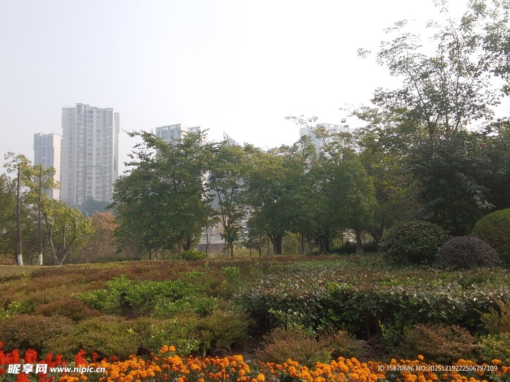 城市中的多彩花卉景观