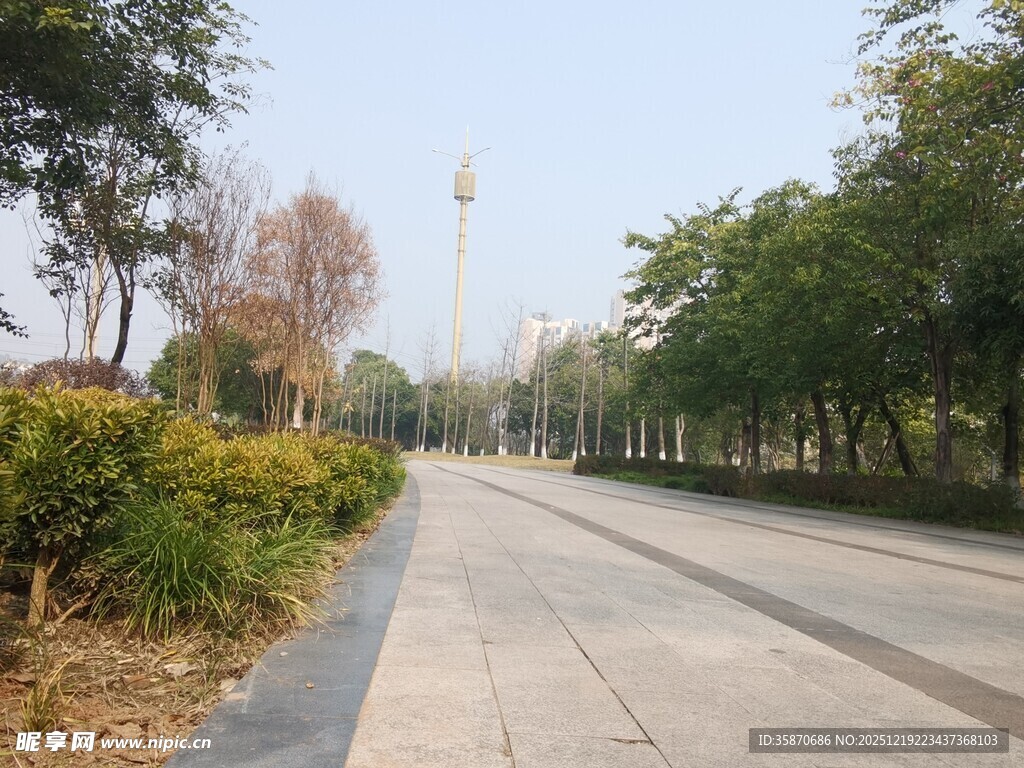 城市林荫大道景观