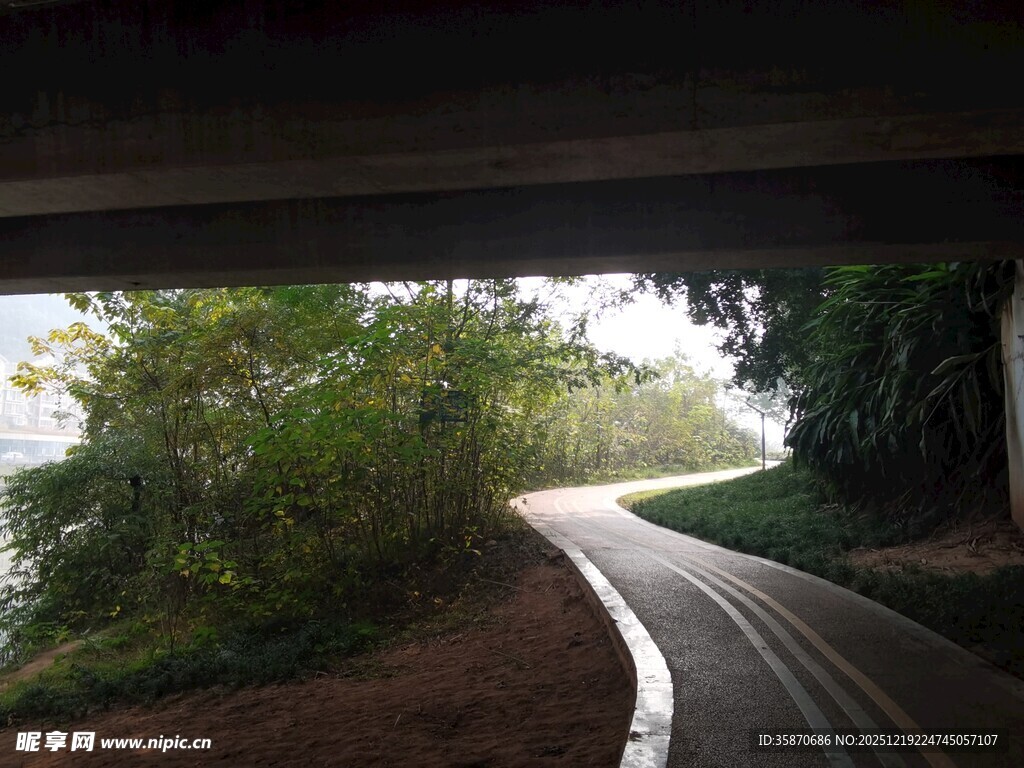 桥下蜿蜒小路绿意盎然