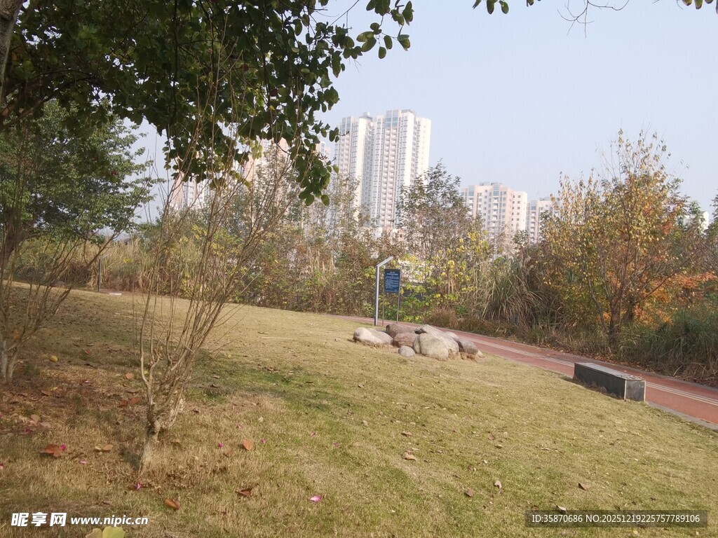 城市公园中的宁静景致