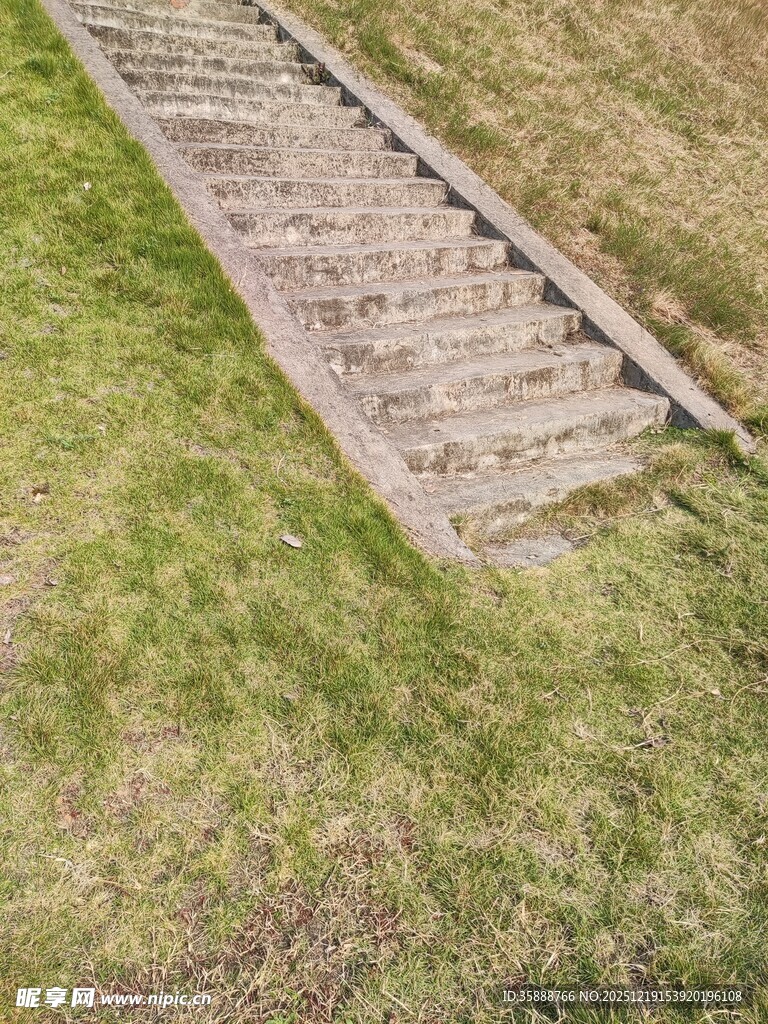 草地中的木质阶梯