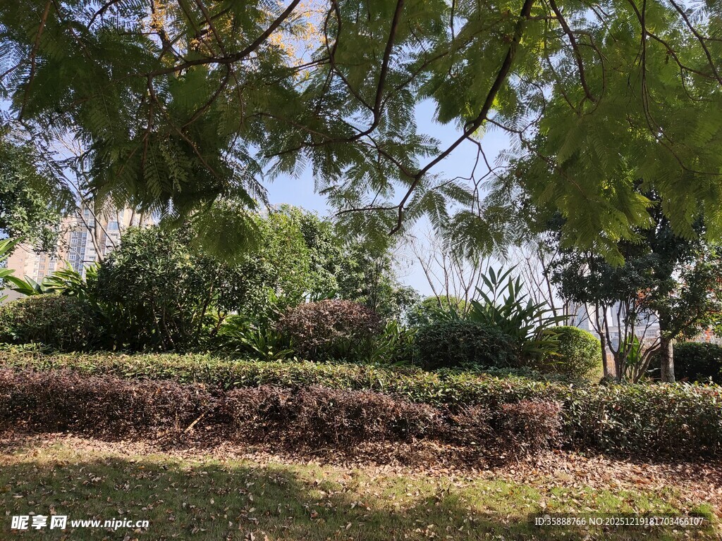 绿意盎然的园林景观