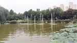 湖畔喷泉景观 绿意盎然