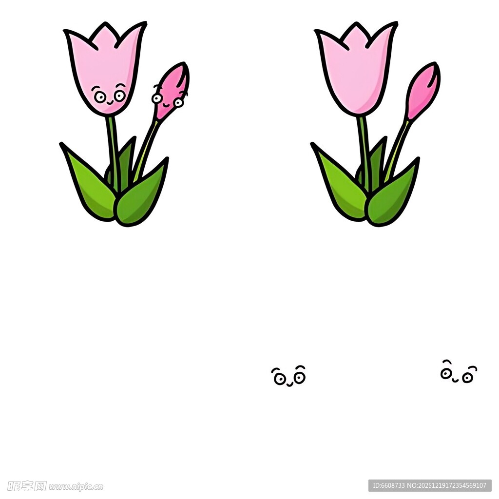 两朵粉色郁金香插画