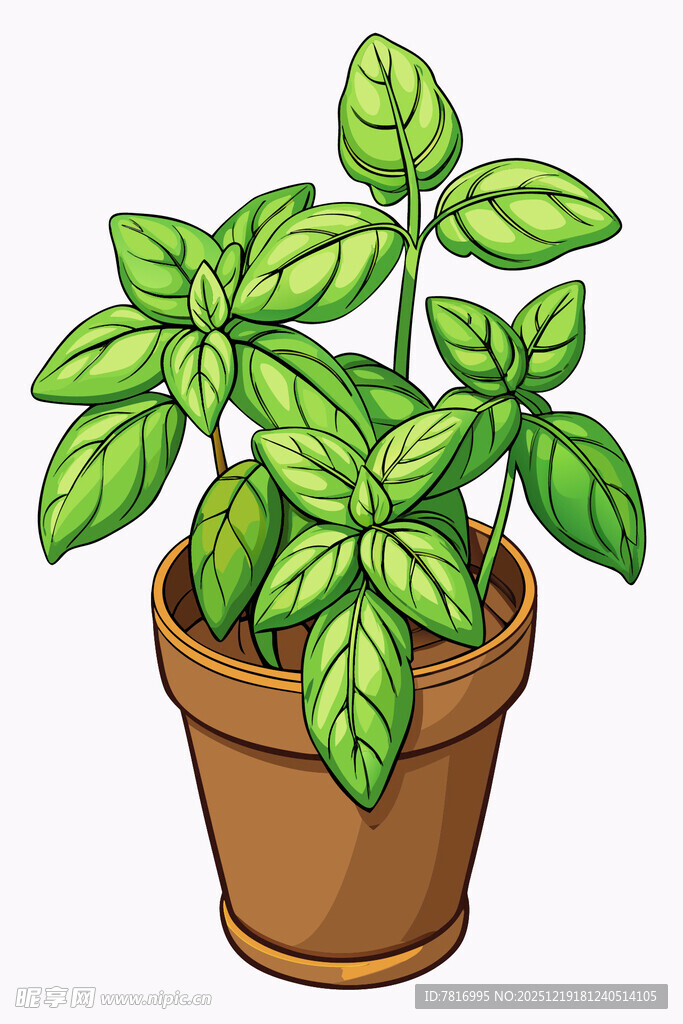 盆栽绿植清新绿意满满