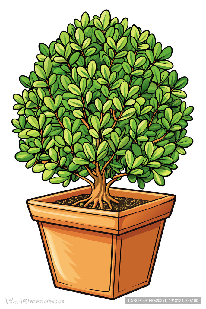 盆栽绿植生机盎然