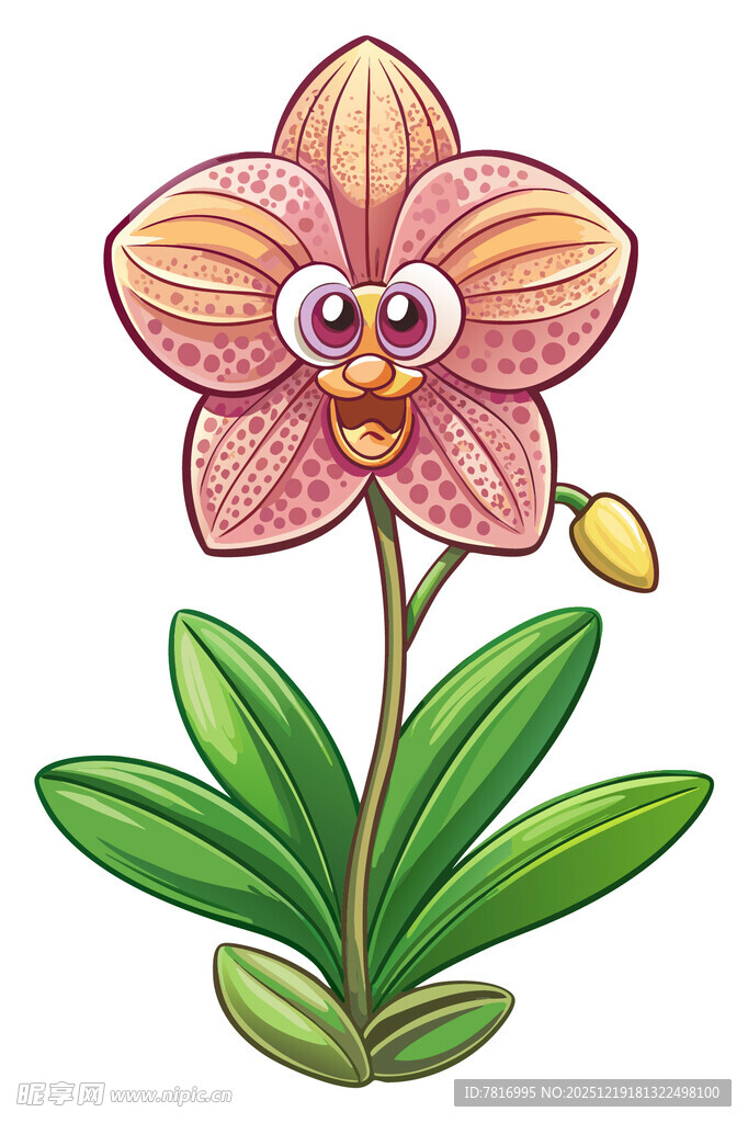 可爱卡通兰花插画