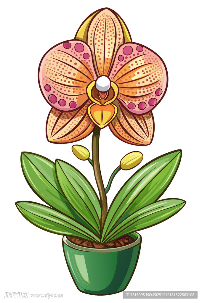 可爱卡通兰花插画