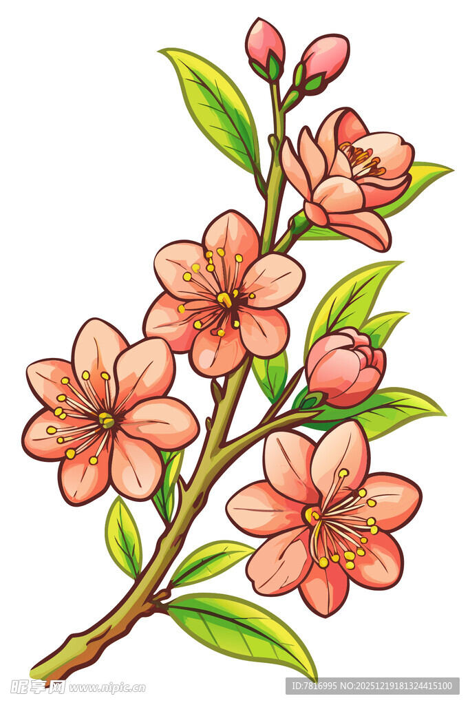 手绘粉色桃花枝