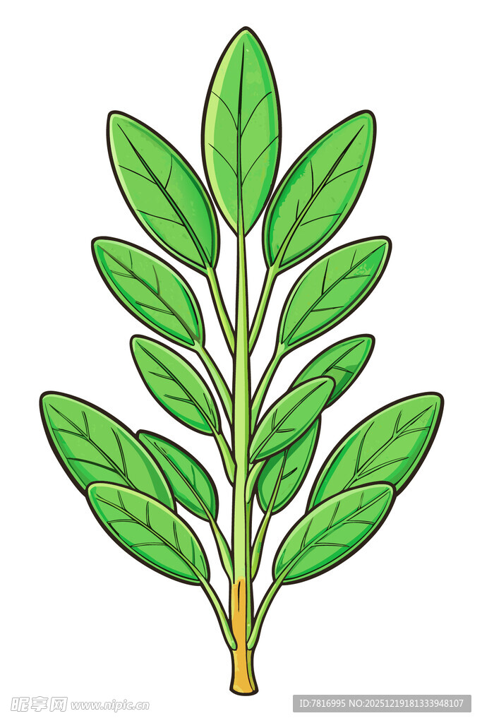 手绘绿色植物叶片插画