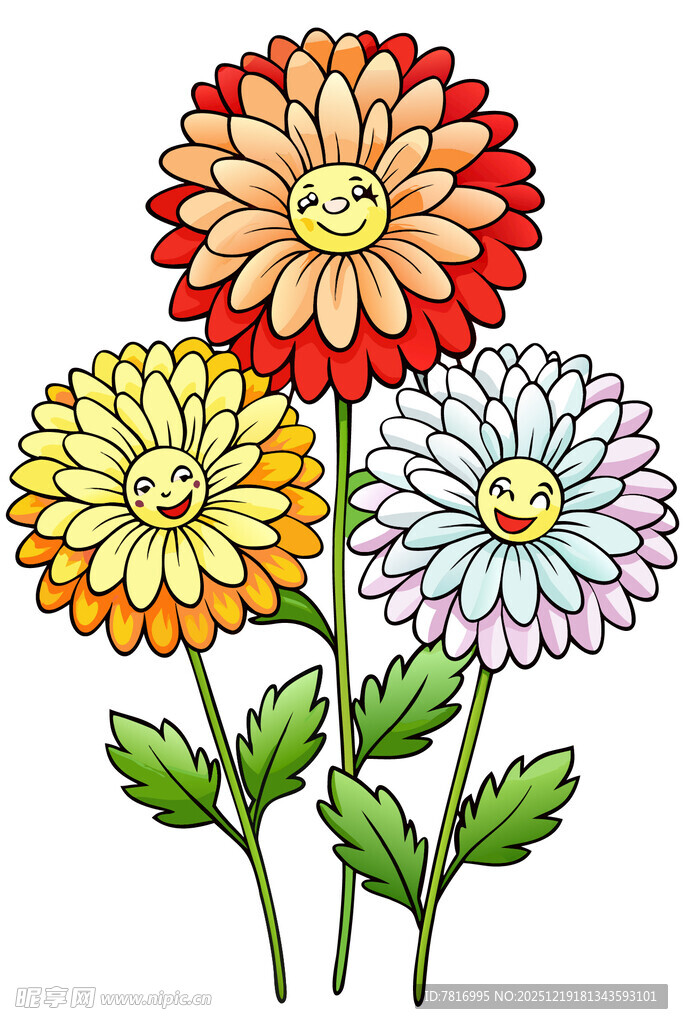 多彩雏菊插画