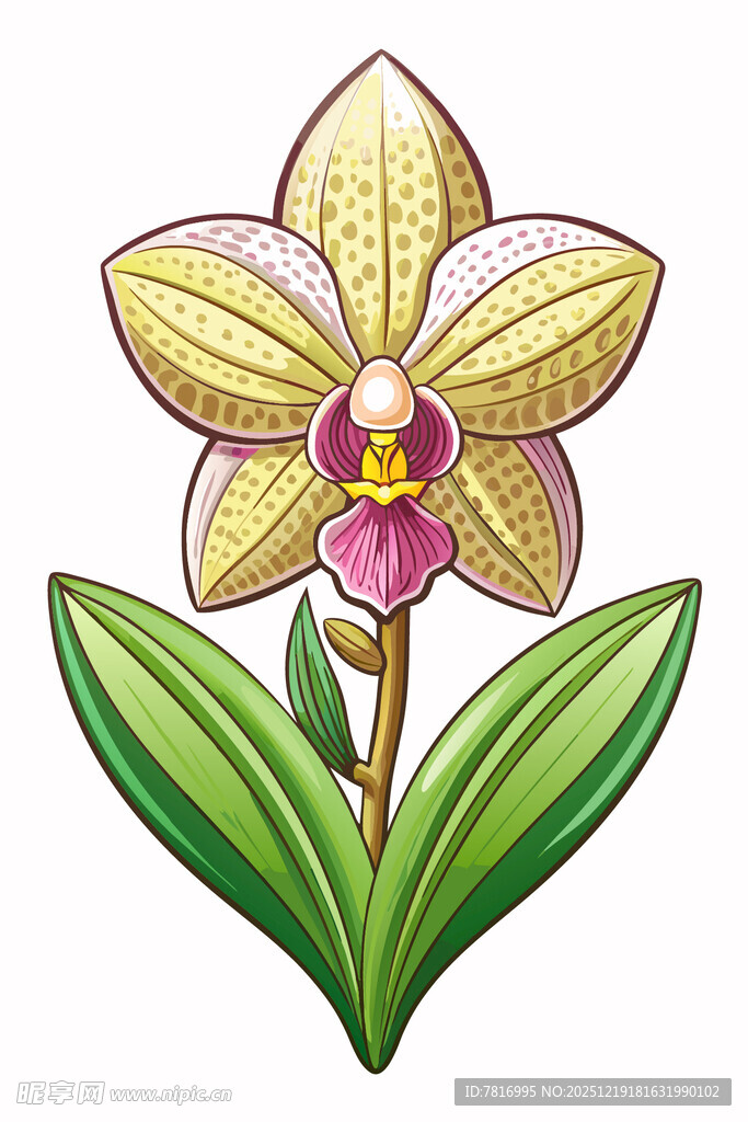 手绘精美黄色兰花图案